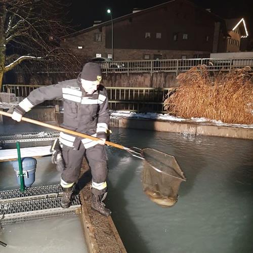 News Aus Dem Wipptal Erker Sterzing Verunreinigtes Wasser In