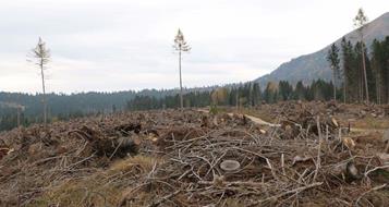 sturmtief-vaja-c-noemi-prinoth