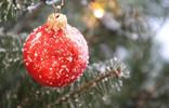 christbaum-pixabay