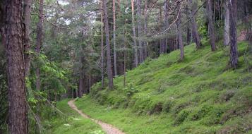 wald-c-lpa-landesforstdienste